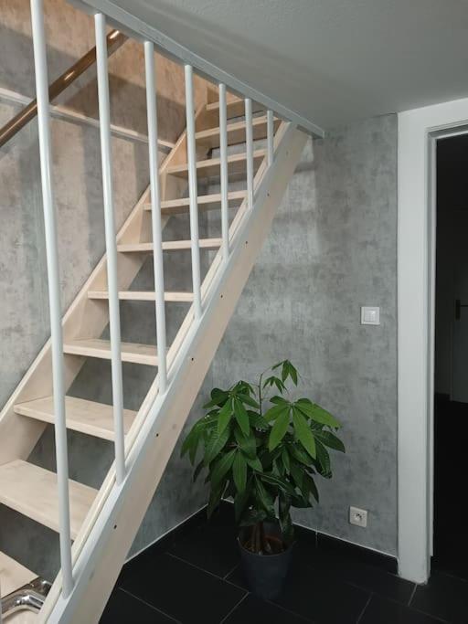 Gite Chez L'Oncle Paul Urschenheim エクステリア 写真